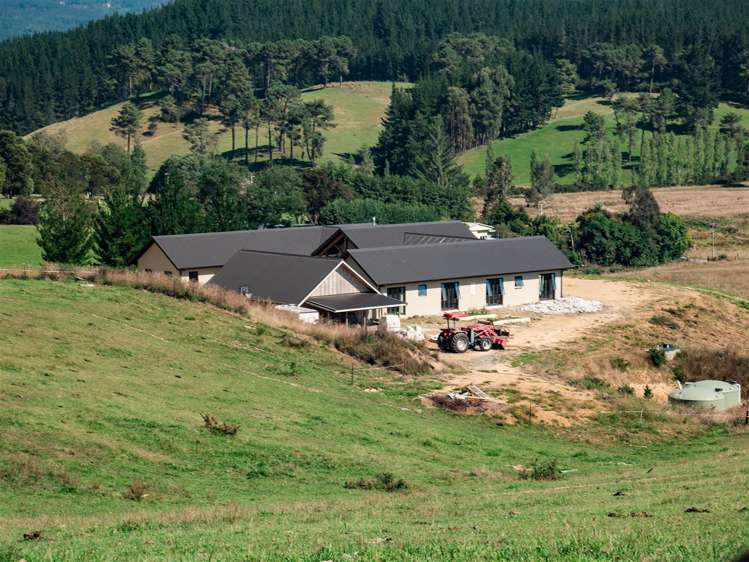 391 Waiwhero Road Ngatimoti_39