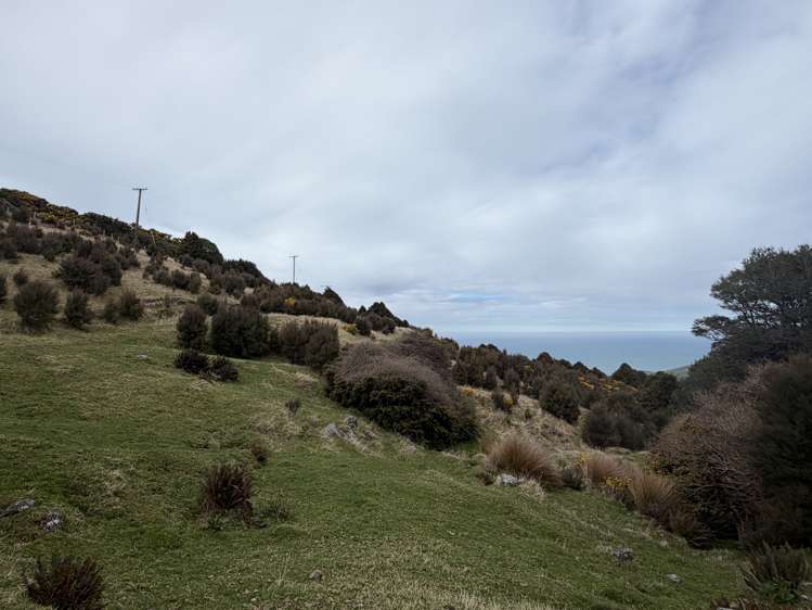 490 Long Bay Road Akaroa_33