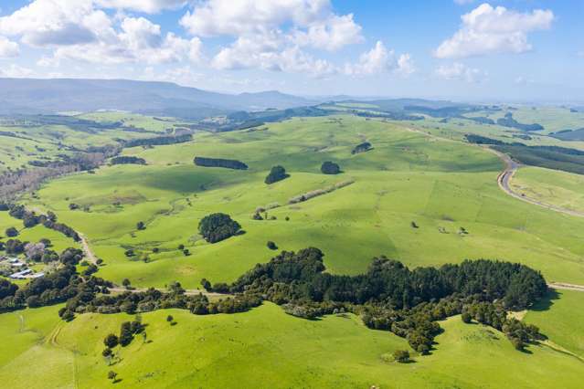 3902 State Highway 12 Dargaville_4
