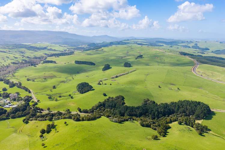 3902 State Highway 12 Dargaville_4