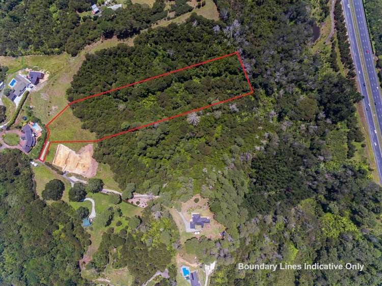 249a Wright Road Dairy Flat_9