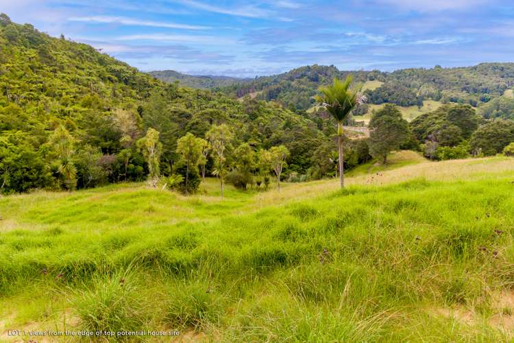 542 Duddy Road Hokianga_6