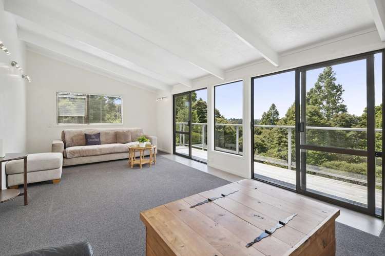 146 Albany Heights Road Albany Heights_6