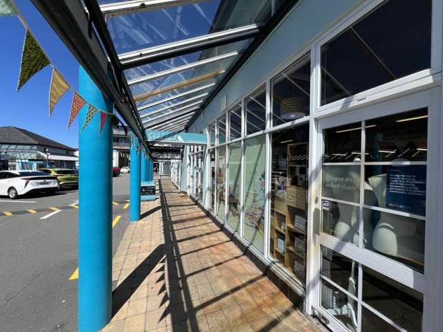 25/22 Bay Road Kilbirnie_3