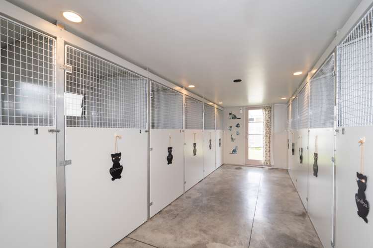 193 Grove Place Tinwald_2