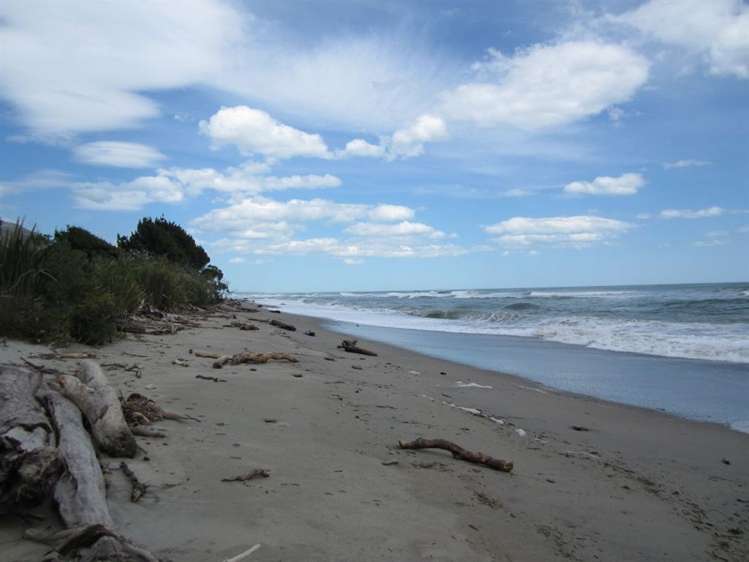 3 Ives Street Hector_21