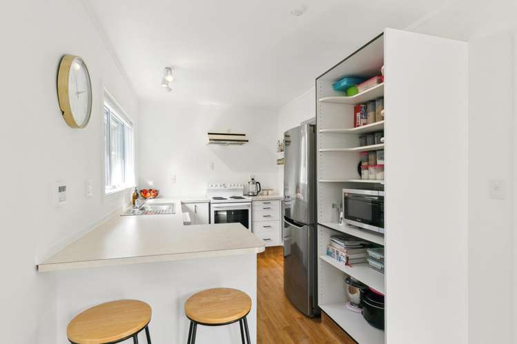 21a Mexted Terrace Tawa_9