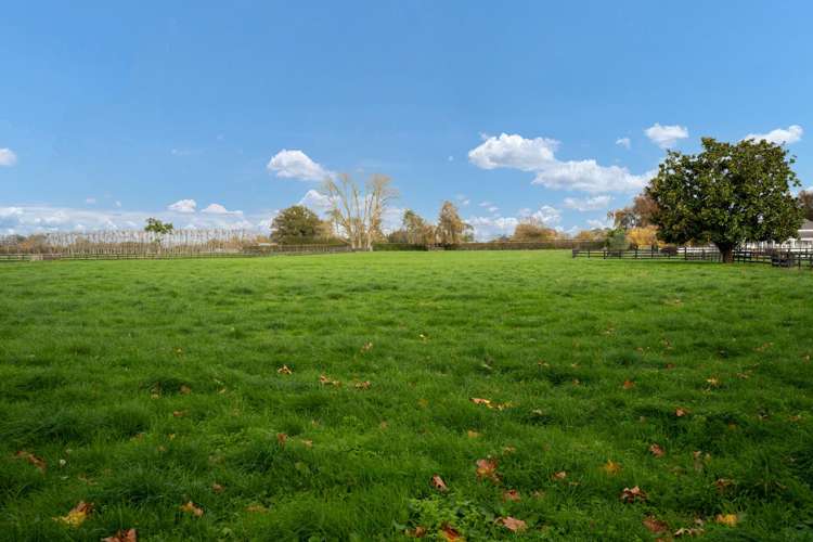 73 Discombe Road Tamahere_8