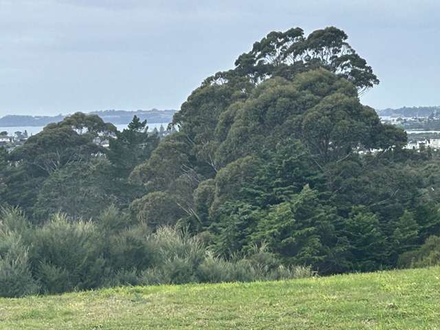 55 Kikorangi Drive Orewa_1