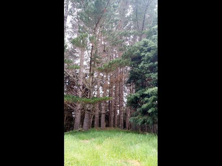 115 Waiare Road Okaihau_13