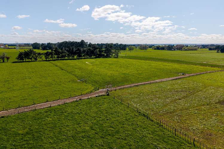 1040 Roberts Line Bunnythorpe_26