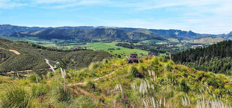 105 Linton Road Kaipara Flats_6