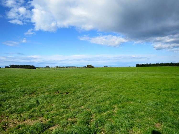 150 Clark Road Winton Surrounds_17