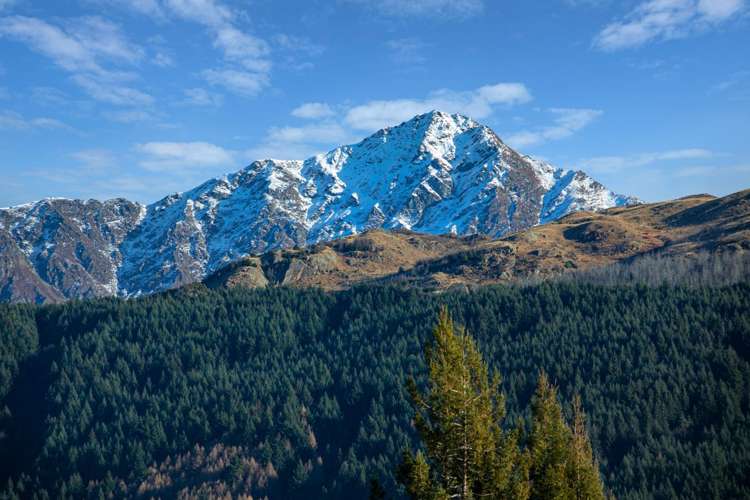 173 Peninsula Road Kawarau Falls_2