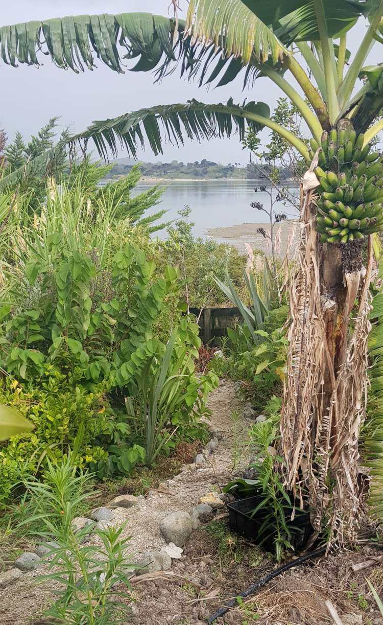 572a Pahi Road Paparoa_9