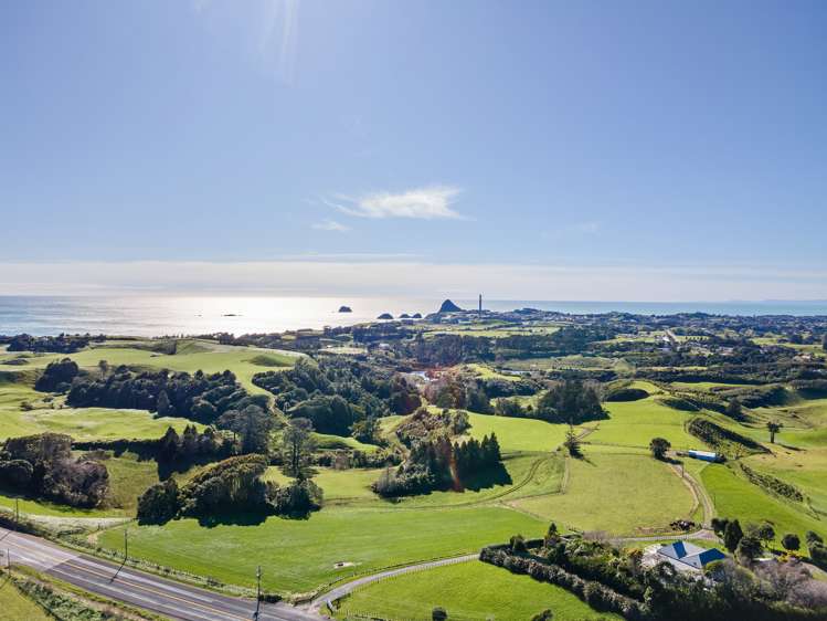 568 South Road Omata_13