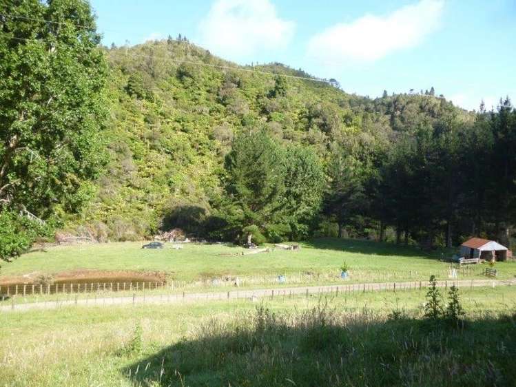 1163 Puniwhakau Road Pohokura and Surrounds_11