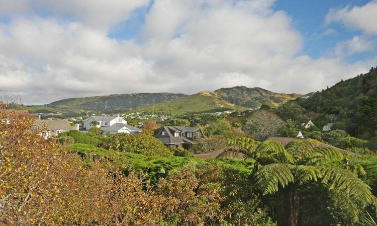 26 Simla Crescent Khandallah_26
