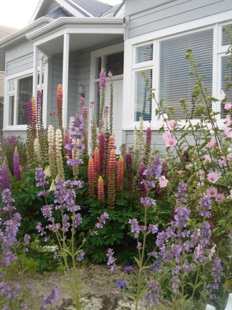 643 Highgate Maori Hill_19