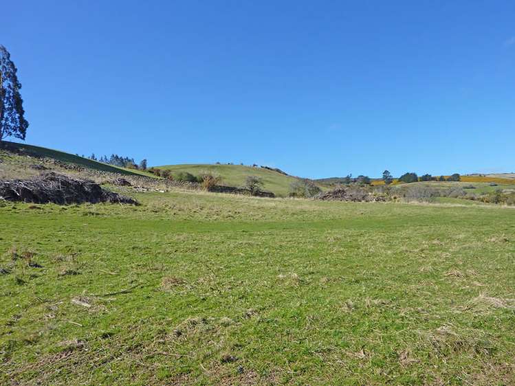 58 Cowan Road Pine Hill_15