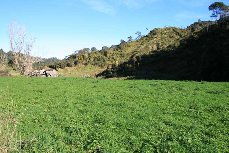 268 Piko Road Okoki_23