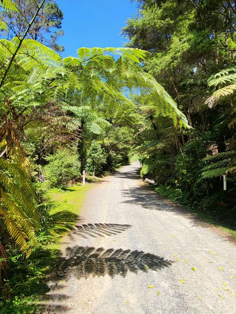 Lot 2 Bon Accord Harbour Kawau Island_15