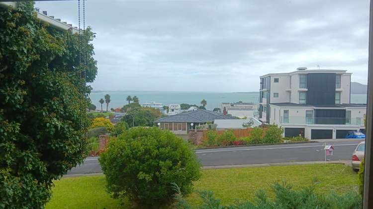 11 Benbow Street Saint Heliers_1