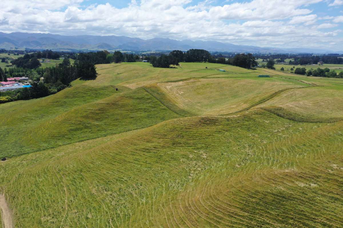 83 Norsewood Ormondville Road_3