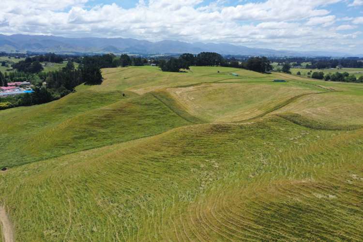 83 Norsewood Ormondville Road Norsewood_7