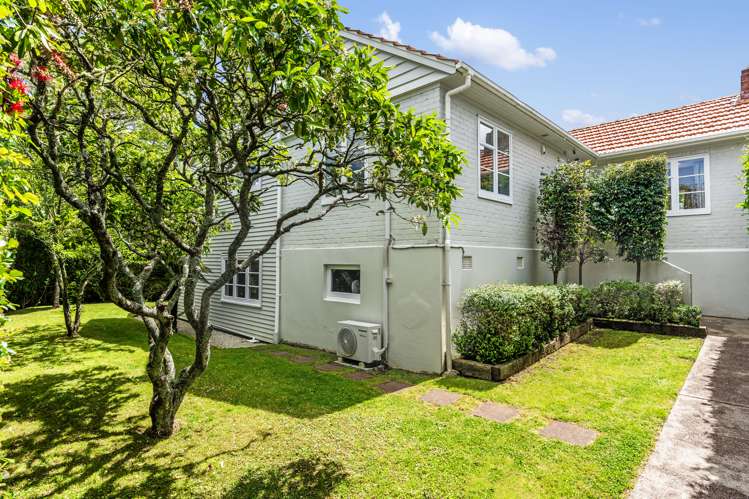 233 Campbell Road Greenlane_18