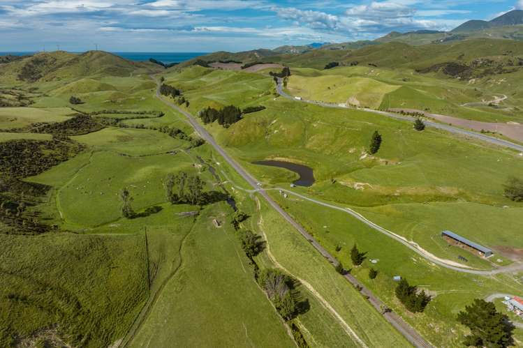 7797 State Highway 1 Ward_4