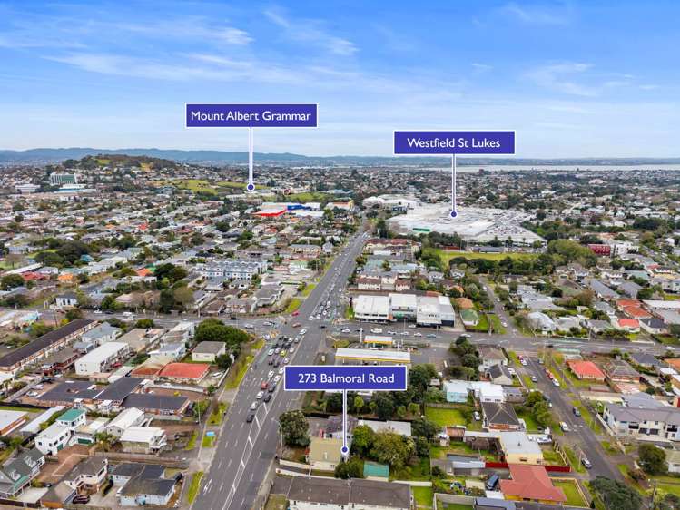 273 Balmoral Road Sandringham_21