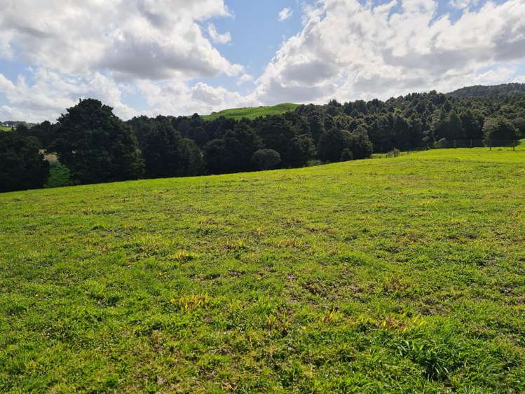 Dodd Road Maungaturoto_30