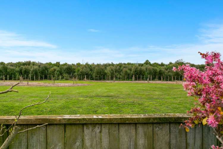 5 Walter Court Cambridge_14