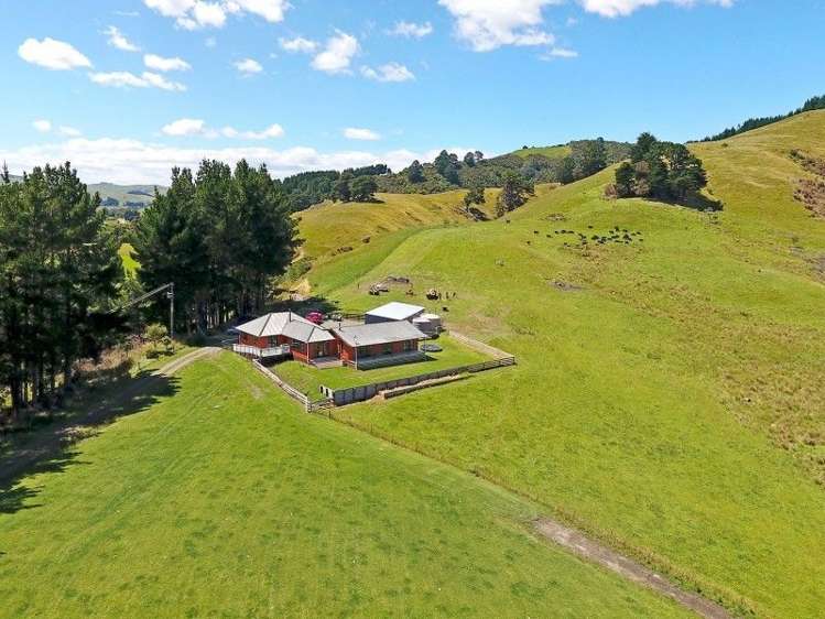 100 Castle Hill Road Eketahuna_21