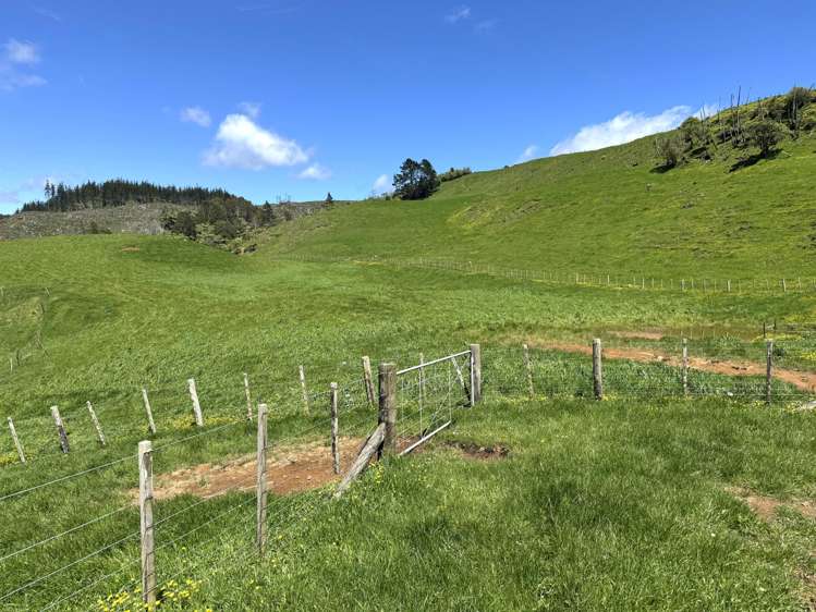 3/585 O'Shea Road Pirongia_15