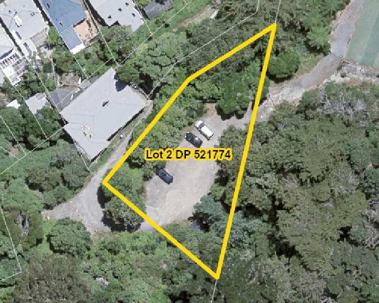 1C Holloway Road Aro Valley_11