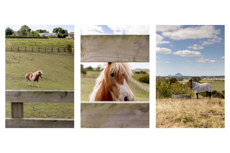 220a Braemar Road Manawahe_22