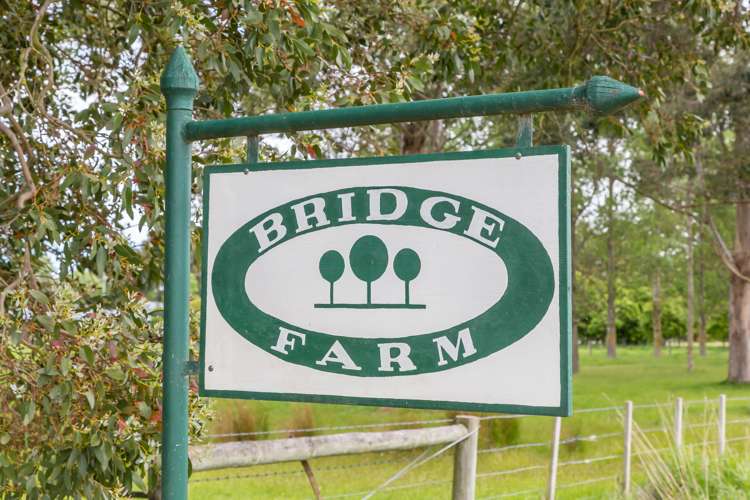 114 Derretts Road Hororata_19