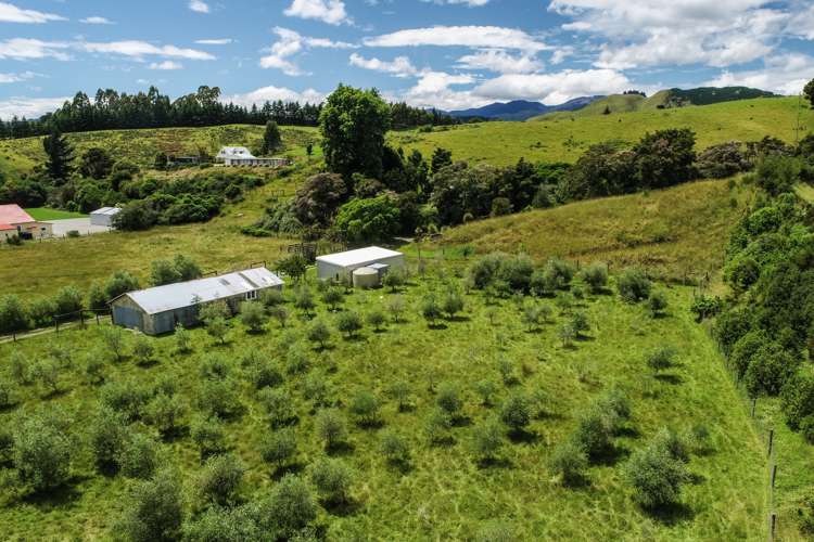 258 Lord Rutherford Road South Brightwater_8