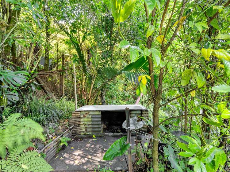 Ohiwa Loop Road Waiotahi_32