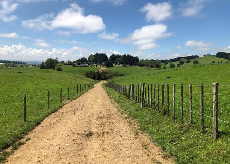 2364 Arapuni Road Pukeatua_14