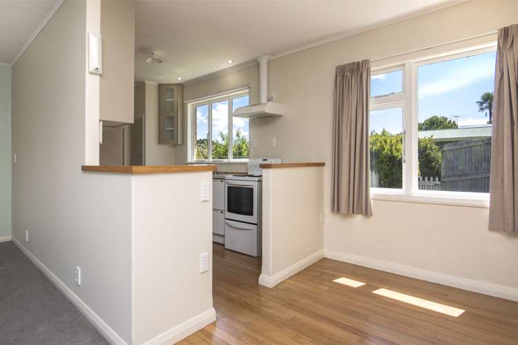 10 Sussex Street Picton_5