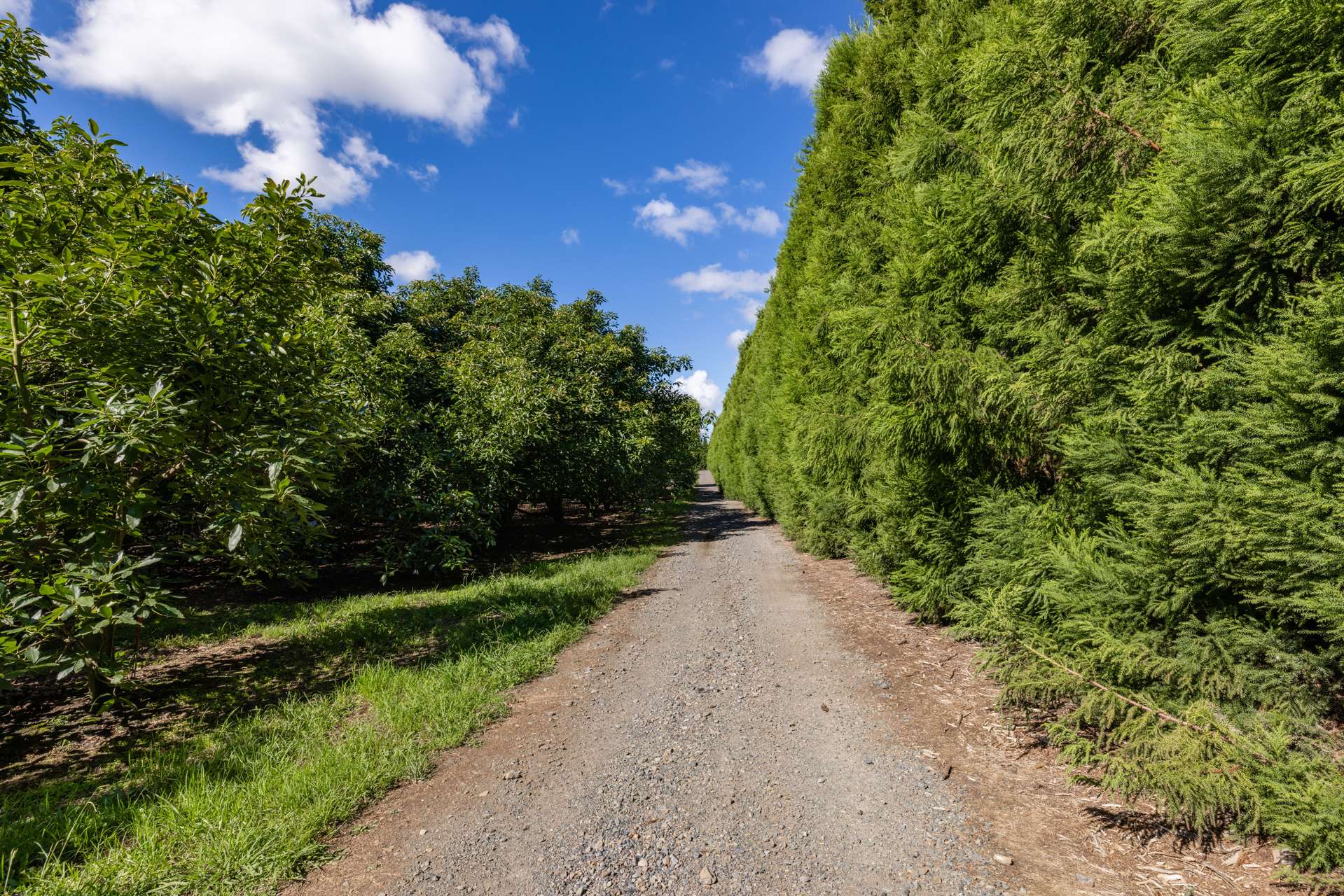 Mangakahia Road Maungatapere_0