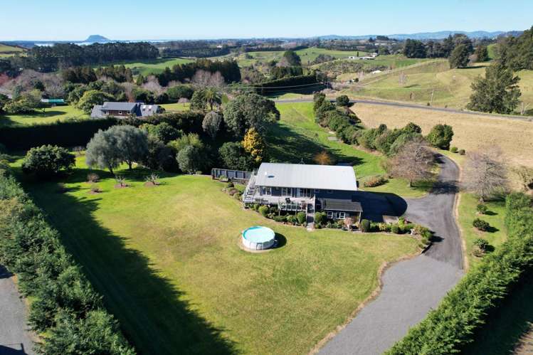 38 Youngson Road Whakamarama_25
