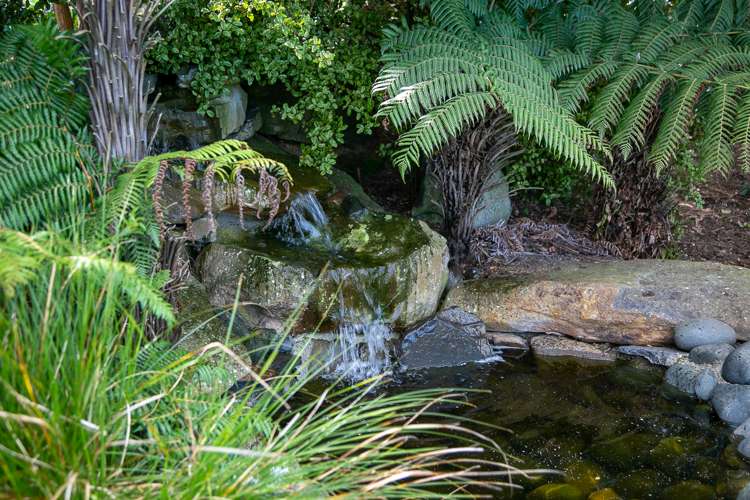 1105 Tauwhare Road Tauwhare_19