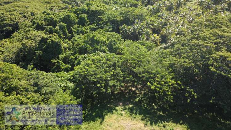 Address withheld Savusavu_14