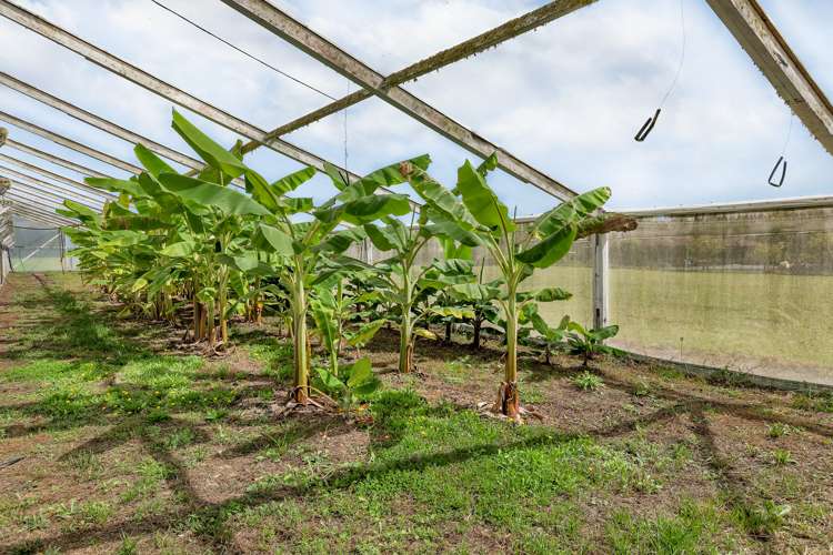 72 Mccullough Road Mangapai and Surrounds_5