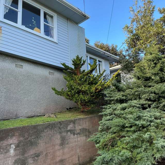 1 Mace Street Island Bay_1