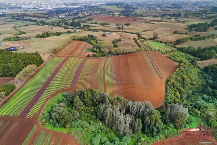 659 Harrisville Road Pukekohe East_14